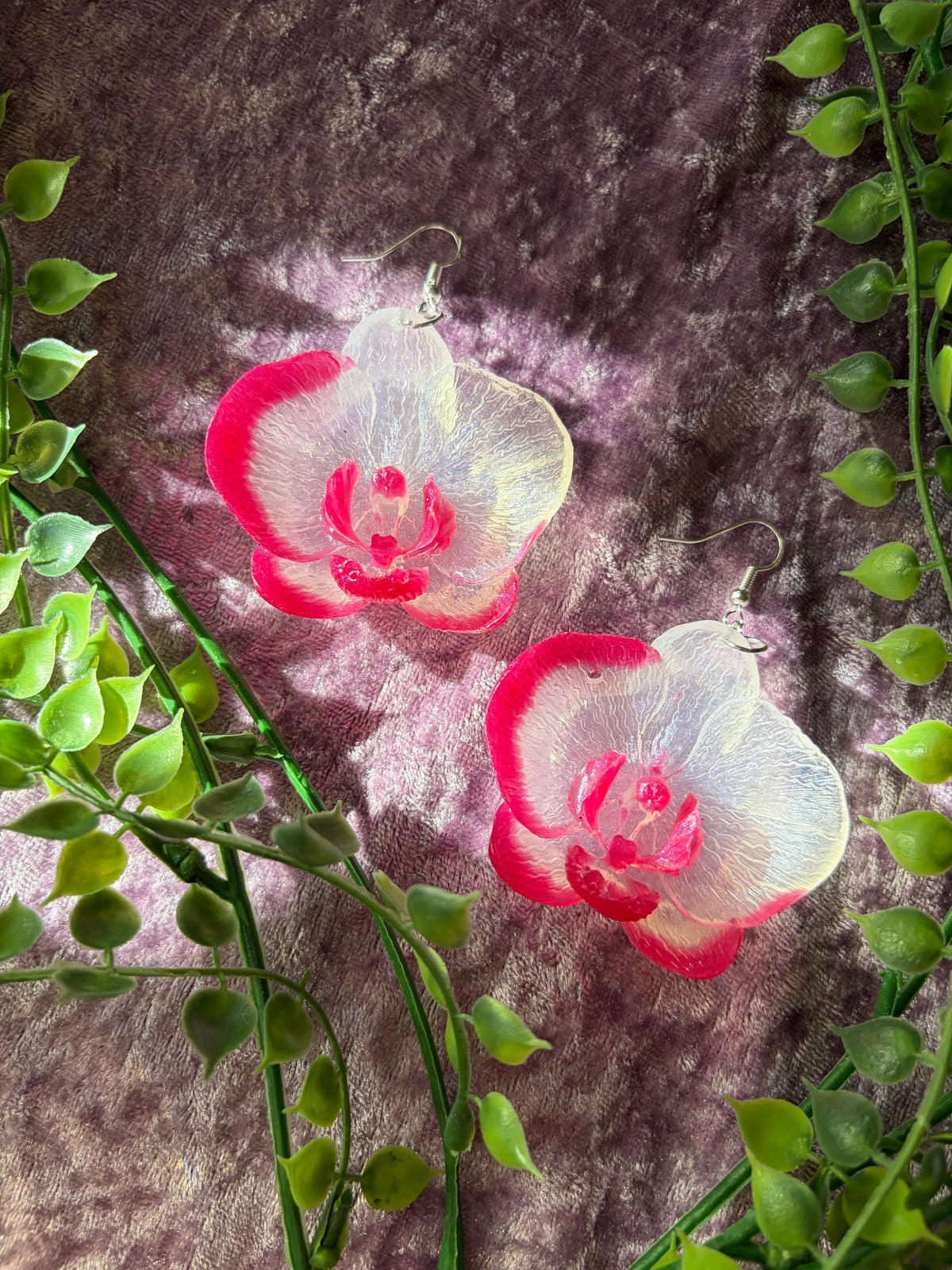 Vita och Rosa Orkidéer
