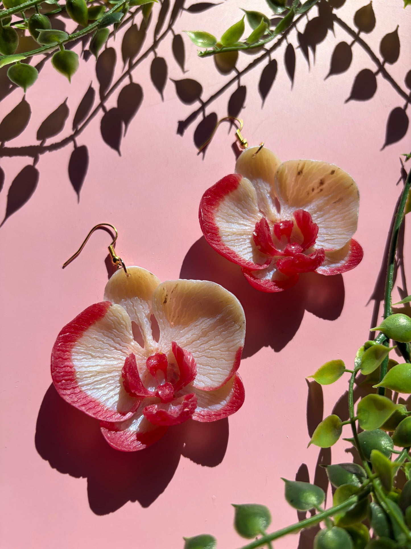 Vita och Rosa Orkidéer