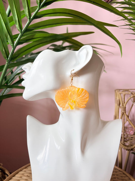 Orange Orkidéer