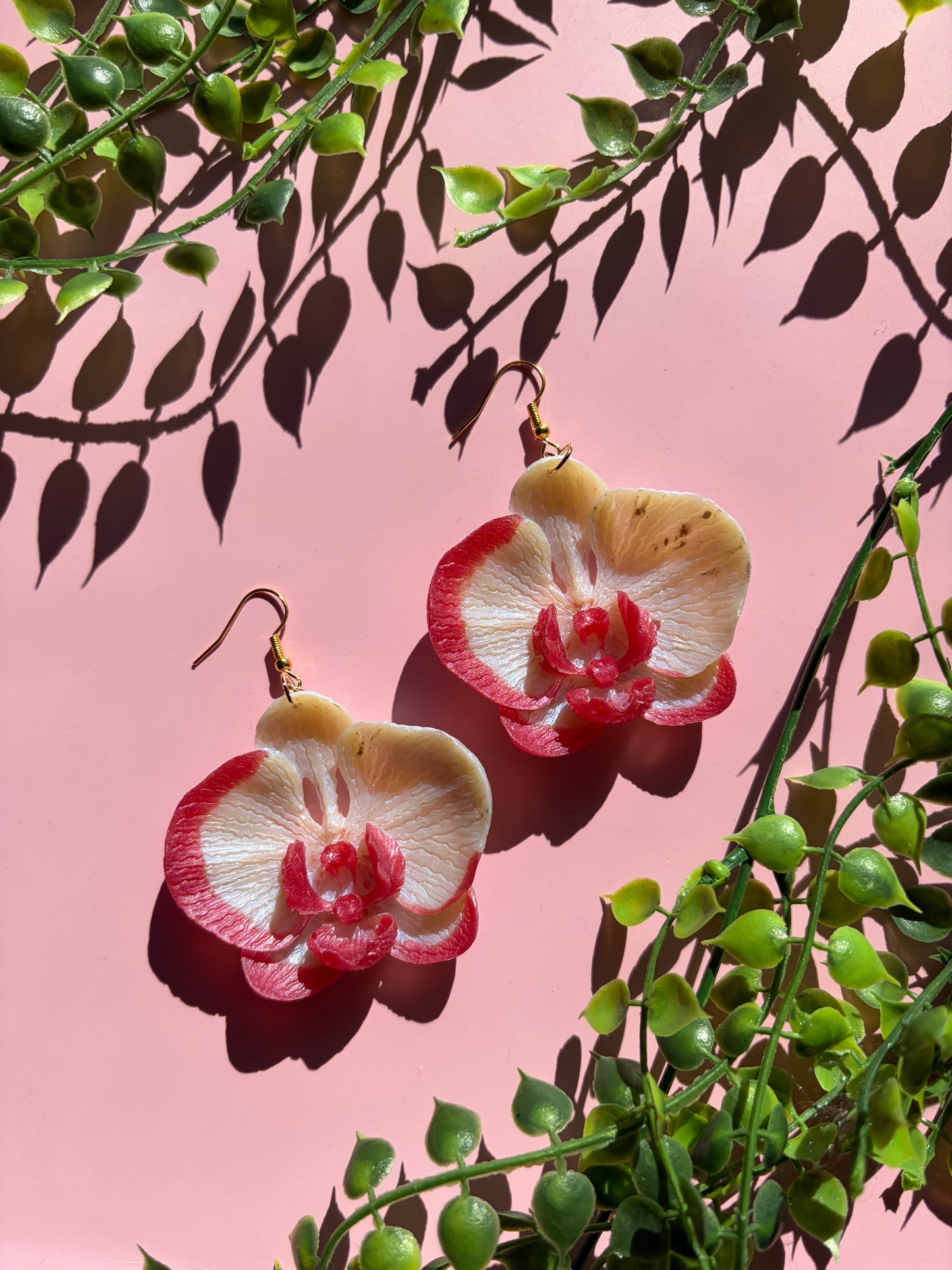 Vita och Rosa Orkidéer