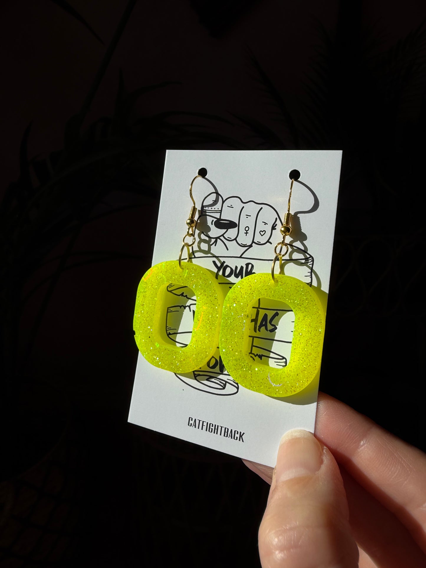 Holo Glittriga Örhängen