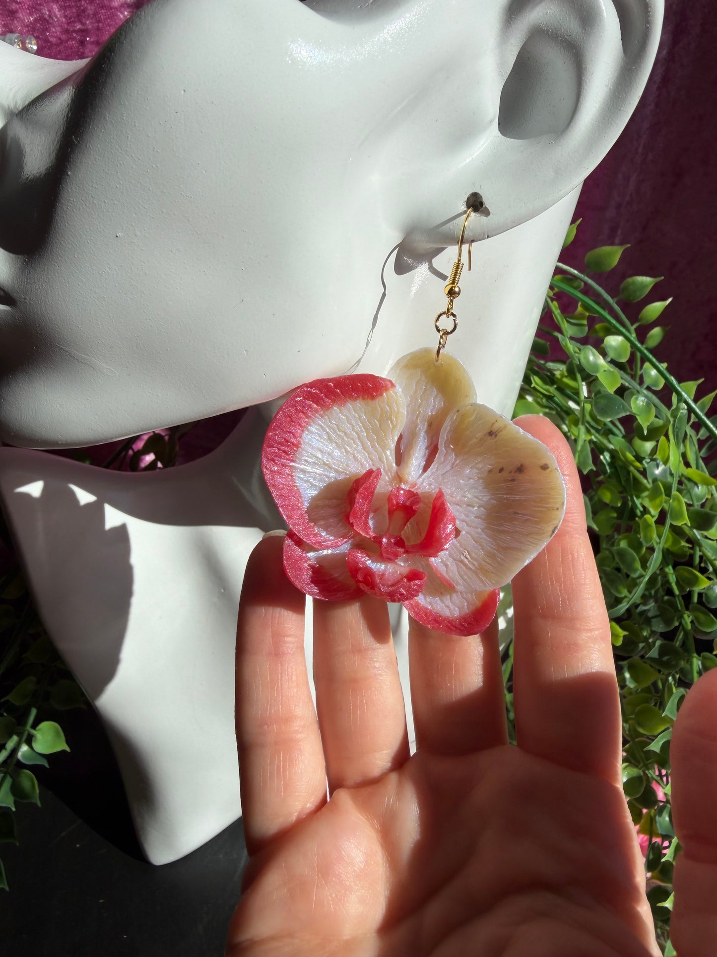 Vita och Rosa Orkidéer
