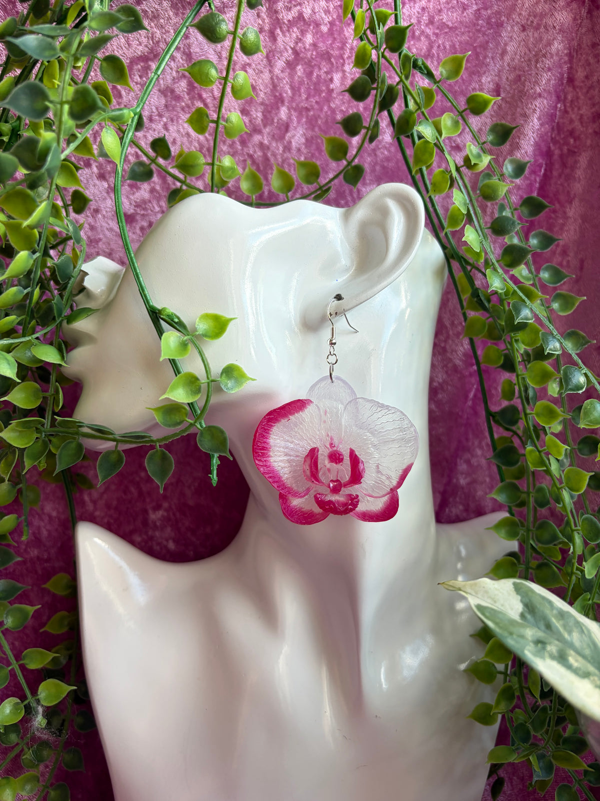 Vita och Rosa Orkidéer