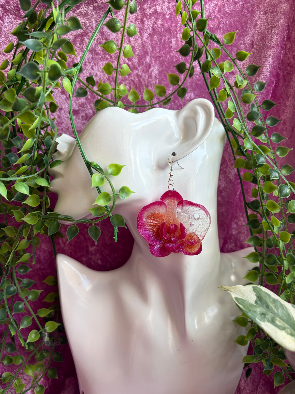 Vita och Rosa Orkidéer